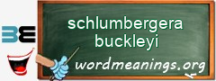 WordMeaning blackboard for schlumbergera buckleyi